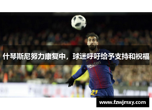 什琴斯尼努力康复中，球迷呼吁给予支持和祝福
